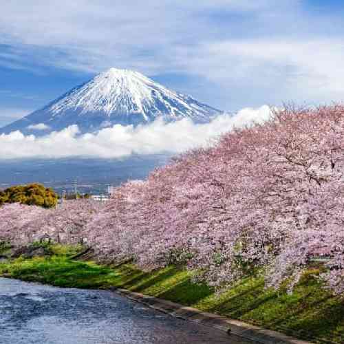 دربه نادره به نا به مطلب هه زندگی مه اگه لامه